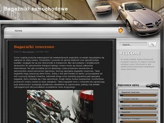 Podgląd metaleksport.pl