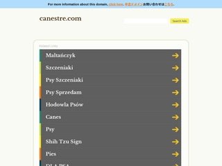 Podgląd canestre.com