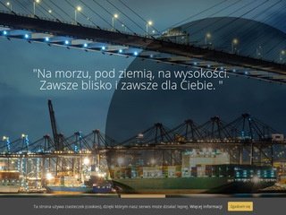 Podgląd polsling.pl