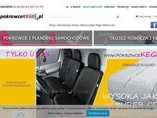 Podgląd giemzik.pl