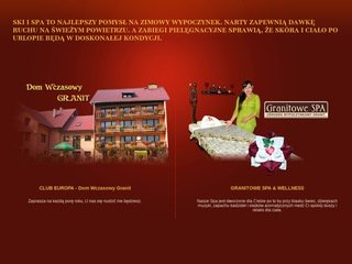 Miniaturka dwgranit.pl