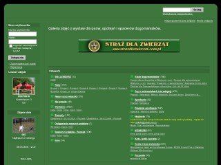 Miniaturka psiaki.com.pl