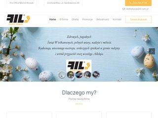 Podgląd fil.com.pl