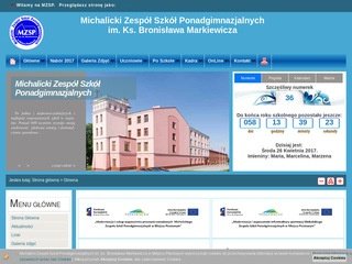 Podgląd mzsp.pl