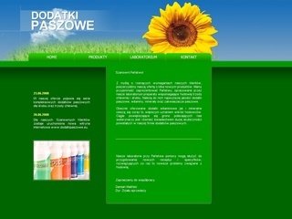 Podgląd dodatkipaszowe.eu
