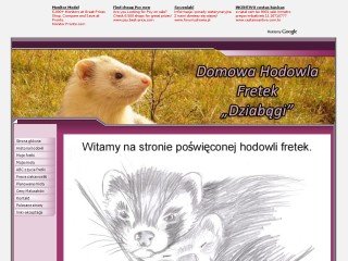 Miniaturka hodowla-dziabagi.cba.pl