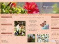 Podgląd magnoliaplace.com.pl