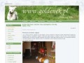 Podgląd goldenek.pl