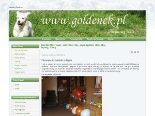 Podgląd goldenek.pl