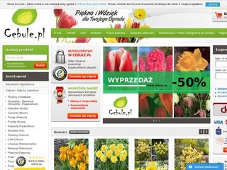 Podgląd cebule.pl