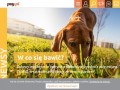 Podgląd psy.pl