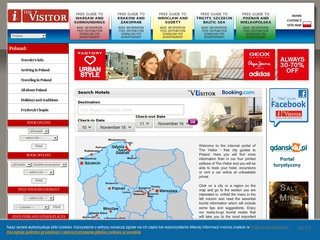Podgląd thevisitor.pl