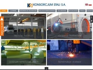 Podgląd konsorcjumstali.com.pl