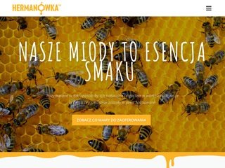 Podgląd hermanowka.pl