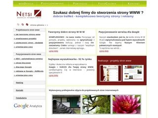Podgląd netsi.pl