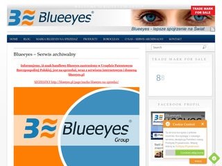 Podgląd blueeyes.pl