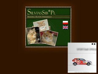 Podgląd silviassib.pl
