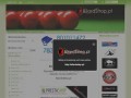 Podgląd bilardshop.pl