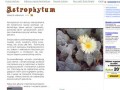 Podgląd astrophytum.republika.pl