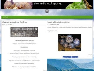 Podgląd geogut.pl