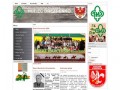 Podgląd drezdenko.zhp.pl