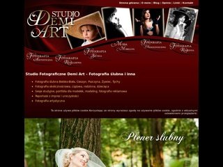 Podgląd demiart.pl