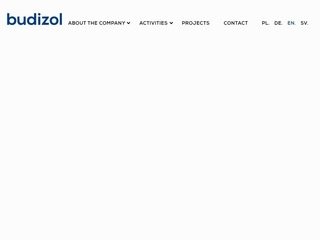 Podgląd budizol.com.pl