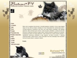 Podgląd batumi.com.pl