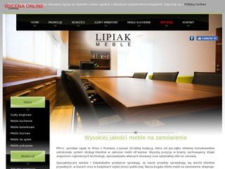 Miniaturka szafy-wnekowe.com.pl