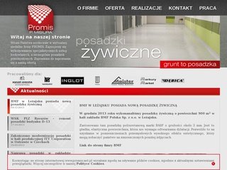 Podgląd promis.net.pl