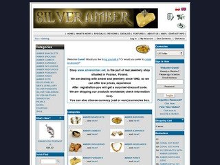 Podgląd silveramber.net