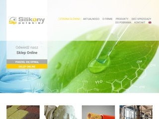 Podgląd silikonypolskie.pl