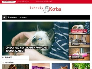 Podgląd sekret-akkem.pl