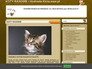 Podgląd kicia.home.pl