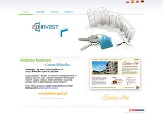 Podgląd apinvest.com.pl