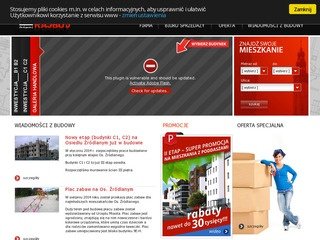 Podgląd rajbud.pl
