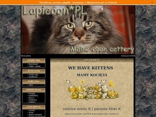 Miniaturka lapicoon.pl