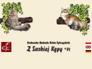 Podgląd siberiancat.pl