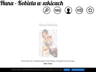 Podgląd huna.net.pl