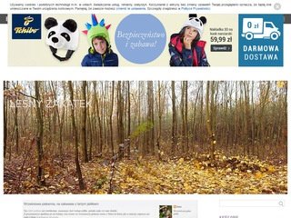 Podgląd dancia.bloog.pl