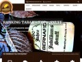 Podgląd top25snuff.com