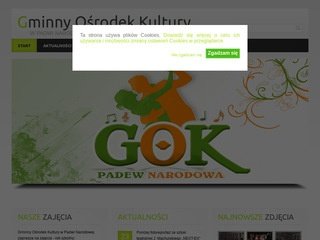 Miniaturka gokpadew.pl