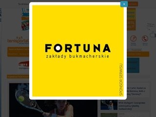 Podgląd tenisportal.com