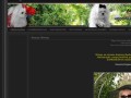 Podgląd york-shop.com