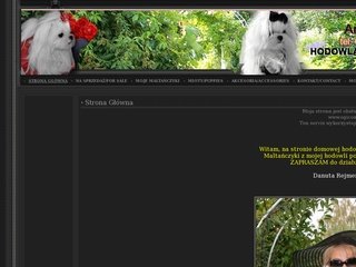 Podgląd york-shop.com
