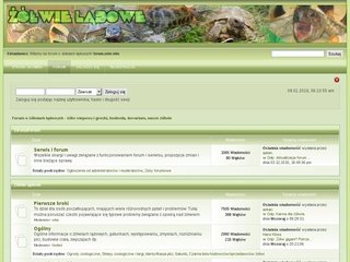 Podgląd forum.zolw.info
