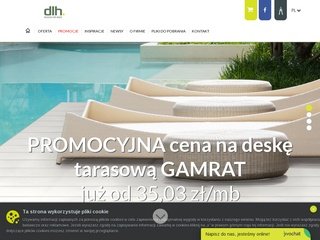 Podgląd dlh-poland.com