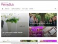 Podgląd pieknyslub.pl