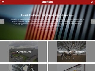 Podgląd borga.pl