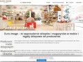 Podgląd euroimage.com.pl